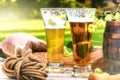 Glasses with fresh cold beer in rustic setting Royalty Free Stock Photo