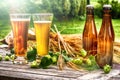 Glasses with fresh cold beer in rustic setting Royalty Free Stock Photo