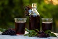 Glasses of fresh elderberry syrup and elderberries Royalty Free Stock Photo