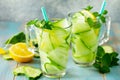 Glasses with fresh organic Cold and refreshing infused detox water with lemon and cucumber Royalty Free Stock Photo
