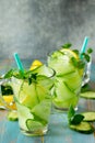 Glasses with fresh organic Cold and refreshing infused detox water with lemon and cucumber Royalty Free Stock Photo