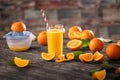 Glasses of fresh organic orange juice and fresh fruit Royalty Free Stock Photo