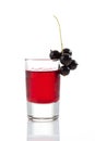 Glasses with genever, black currants Royalty Free Stock Photo