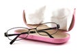 Glasses and glassesetui Royalty Free Stock Photo