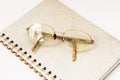 Glasses in a gold frame with diopters on a gold notebook