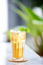 Glasses of iced tea mint on wooden coaster background . Royalty Free Stock Photo