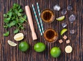 Glasses and ingredients for mojitos Royalty Free Stock Photo