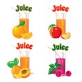 Glasses for juice from orange, apple, raspberry and apricot Royalty Free Stock Photo