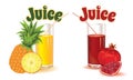 Glasses for juice from pineapple and garnet