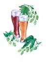 Glasses with light and dark beer. Branch green hops. Watercolor illustration on white background.