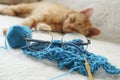 Glasses lying on a blue needlework on a white background. In the background - a sleeping red cat. Royalty Free Stock Photo