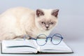 Glasses, lying on the book