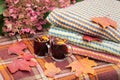 Glasses of mulled wine, stack of warm clothes and autumn maple leaves on plaid on autumn hydrangea flowers background