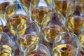Glasses of prosecco Italian white wine