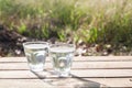 Glasses of pure water on wooden table with nature in background, Healthy lifestyle Royalty Free Stock Photo