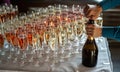 Glasses of red prosecco and champagne Royalty Free Stock Photo