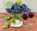 Glasses of red wine against blue grapes and various cheese Royalty Free Stock Photo