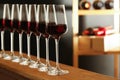 Glasses of red wine in cellar. Expensive drink Royalty Free Stock Photo