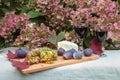 Glasses of red wine, grape, figs, cheese and autumn maple leaves on table