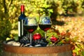 Glasses of red wine on old barrel Royalty Free Stock Photo