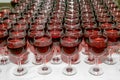 Glasses with red wine served on a table. Royalty Free Stock Photo