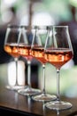 Glasses of rose wine on summer terrace Royalty Free Stock Photo