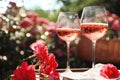 Glasses of rose wine on table in blooming garden