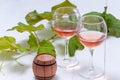 Glasses with rose wine and a wooden barrel with a branch and leaves of grapes on a white wooden table. Royalty Free Stock Photo