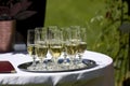 Glasses with sekt Royalty Free Stock Photo