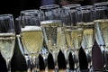 Glasses of sparkling champagne on a tray closeup Royalty Free Stock Photo