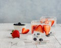 Glasses of sparkling water with berries Royalty Free Stock Photo