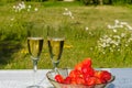 Glasses with sparkling wine and a bowl with strawberries Royalty Free Stock Photo