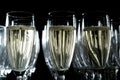Glasses of sparkling wine stand in a row Royalty Free Stock Photo