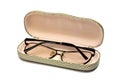 Glasses in a spectacle-case Royalty Free Stock Photo