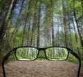 Glasses, vision concept, forest Royalty Free Stock Photo