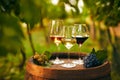 Glasses of white, pink and red wine on an old wooden barrel Royalty Free Stock Photo