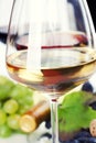 Glasses of white, red and rose wine and grapes Royalty Free Stock Photo