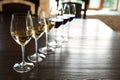 Glasses of white and red wines Royalty Free Stock Photo