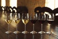 Glasses of white and red wines on table Royalty Free Stock Photo