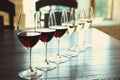 Glasses of white and red wines on table Royalty Free Stock Photo