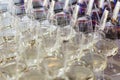 Glasses with white wine. Catering services. Glasses with wine in row background at restaurant party. Shallow dof Royalty Free Stock Photo