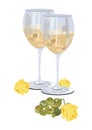 Glasses of white wine with grapes