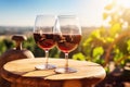 Glasses of white, wine on an old wooden barrel in the vineyard Royalty Free Stock Photo