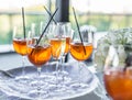 Glasses of wine. Banquet service. Royalty Free Stock Photo