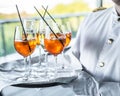 Glasses of wine. Banquet service. Royalty Free Stock Photo