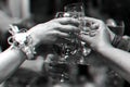 Glasses of wine and vodka in the hands of friends Royalty Free Stock Photo