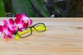 Glasses yellow with flower orchid purple orchid beautiful on wooden floor board over white background Royalty Free Stock Photo