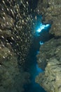 Glassfish cave