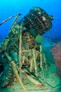 Glassfish swarm around underwater wreckage on a tropical reef