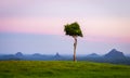 Glasshouse Mountains Royalty Free Stock Photo